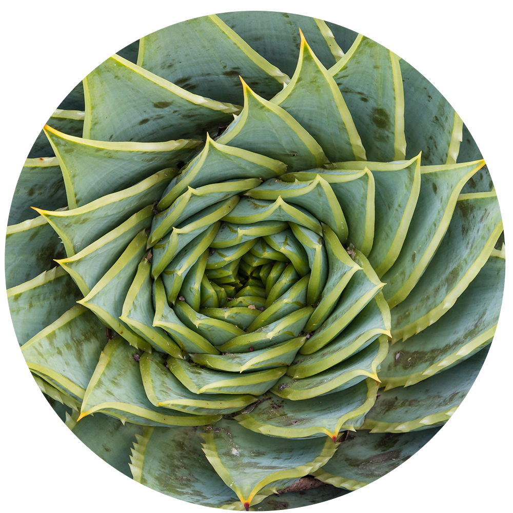The Benefits of Natural Skincare